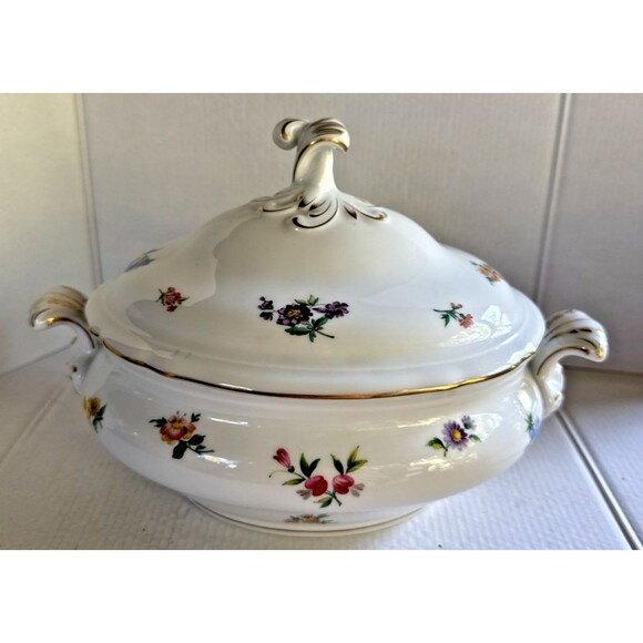 Vintage HUTSCHENREUTHER Mirabell Maria Theresia Dinnerware: HANDLED CASSEROLE - Picture 3 of 8